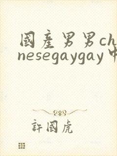 国产男男chinesegaygay中国帅哥网站