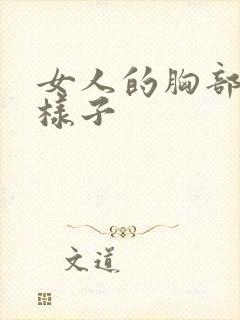 女人的胸部长啥样子