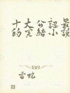 十大公认最好看的完结小说