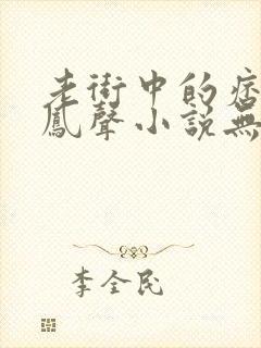 老街中的痞子赵凤声小说无删减版