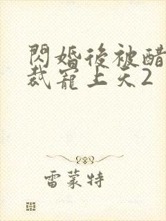 闪婚后被醋王总裁宠上天2