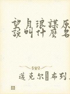 望月琅谋原著小说叫什么名字