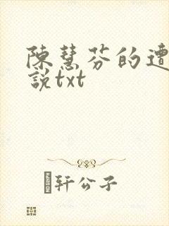 陈慧芬的遭遇小说txt