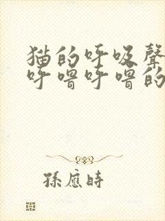 猫的呼吸声一直呼噜呼噜的