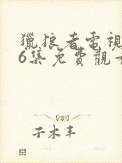 猎狼者电视剧36集免费观看