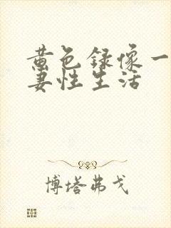 黄色录像一级夫妻性生活