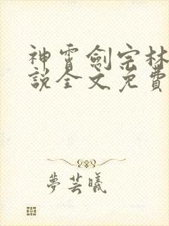 神霄剑宗林枫小说全文免费阅读封面