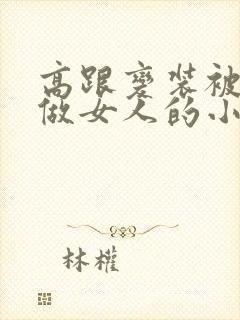 高跟变装被调教做女人的小说