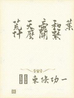 荒天帝和叶天帝什么关系