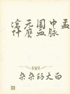 沧元图中孟川是什么血脉