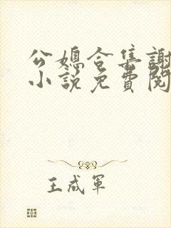 公媳合集谢广坤小说免费阅读封面