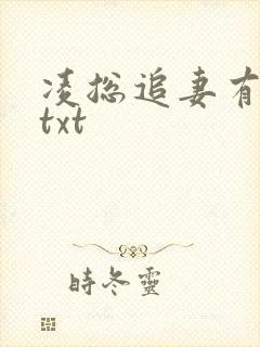 凌总追妻有点甜txt