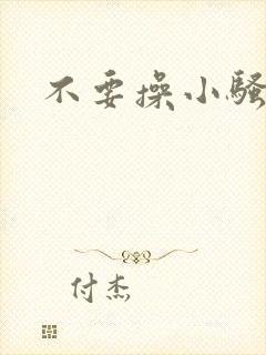 不要操小骚货了