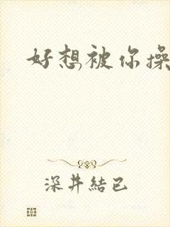 好想被你操啊封面