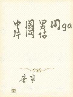 中国男同gay片网站封面