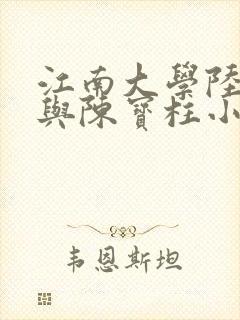 江南大学陆冰嫣与陈宝柱小说