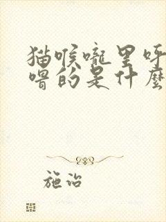 猫喉咙里呼噜呼噜的是什么意思