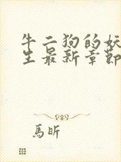 牛二狗的妖孽人生最新章节更新内容