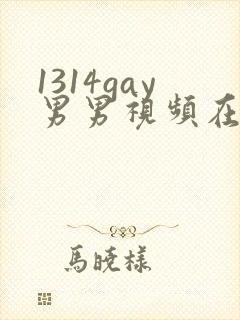 1314gay男男视频在线观看