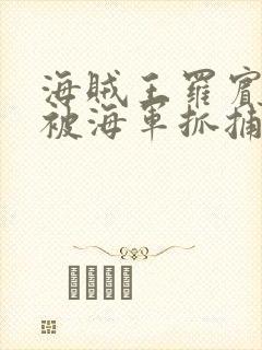 海贼王罗宾娜美被海军抓捕的漫画叫