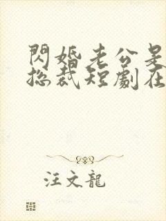 闪婚老公是亿万总裁短剧在线观看