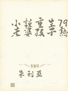 小说重生79:老婆孩子热炕头阅读