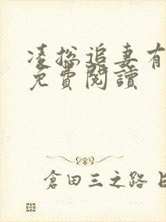 凌总追妻有些甜免费阅读