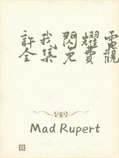 许我闪耀电视剧全集免费观看封面