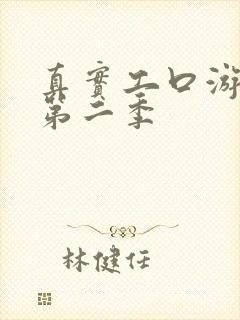 真实工口游戏1第二季封面