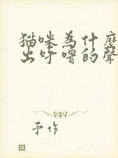 猫咪为什么会发出呼噜的声音封面