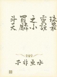 斗罗之灵珠神剑天麟小说最新章节列表最封面