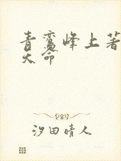 青鸾峰上著无敌天命