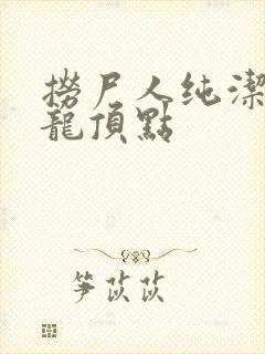 捞尸人纯洁滴小龙顶点封面