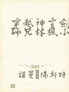 穿越神霄剑宗大师兄林枫小说