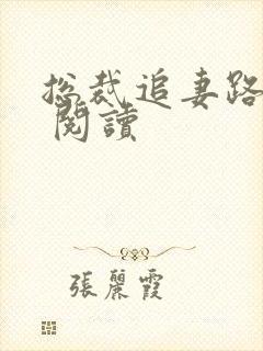 总裁追妻路漫漫 阅读