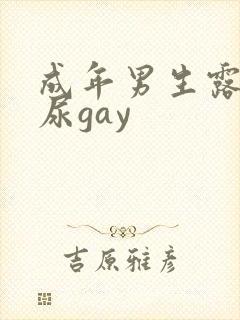 成年男生露j撒尿gay