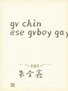 gv chinese gvboy gay tube封面
