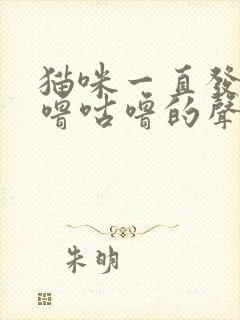 猫咪一直发出咕噜咕噜的声音