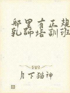 哪里有正规的催乳师培训班