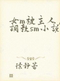 女m被主人虐玩调教sm小说封面