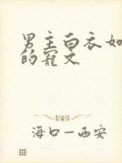 男主白衣如嫡仙的宠文