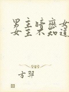男主暗恋女主,女主不知道的小说封面
