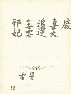 邪王追妻废材狂妃要逆天封面