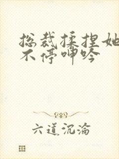 总裁揉捏她两乳不停呻吟