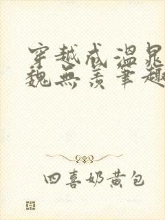 穿越成温晁cp魏无羡笔趣阁