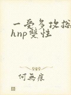 一受多攻总受高hnp双性