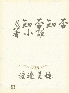 《知否知否》原著小说封面