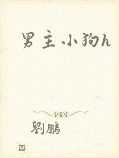 男主小狗h封面