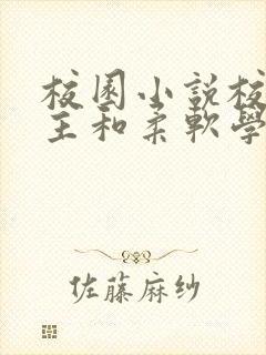 校园小说校霸男主和柔软学霸女主封面