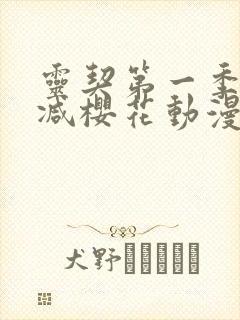 灵契第一季无删减樱花动漫